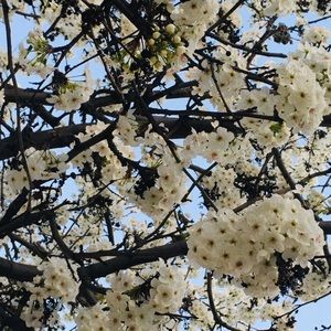 Meet your Posher, Robyn